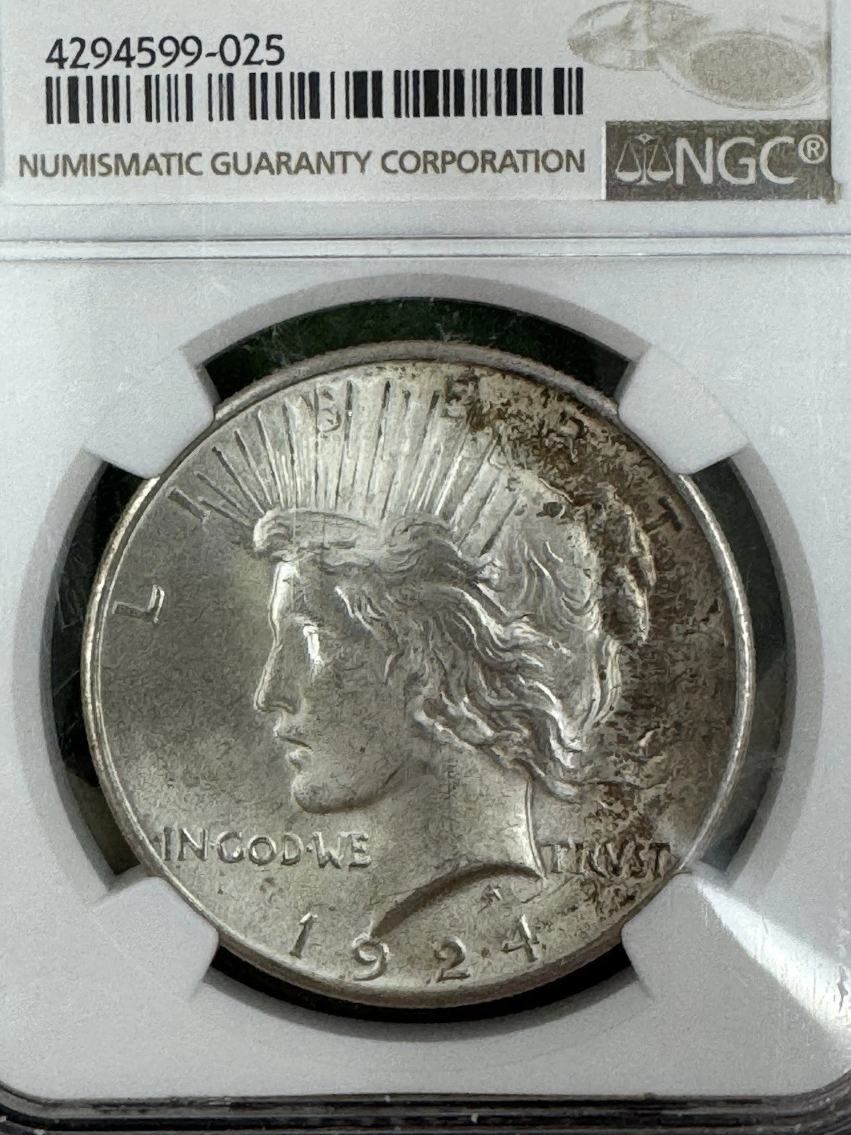 1924 S$1 Peace Silver Dollar NGC MS65 Toned